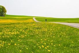 Spring into cycling